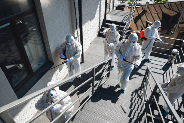 Best Mold Prevention Services  in Lawai, HI
