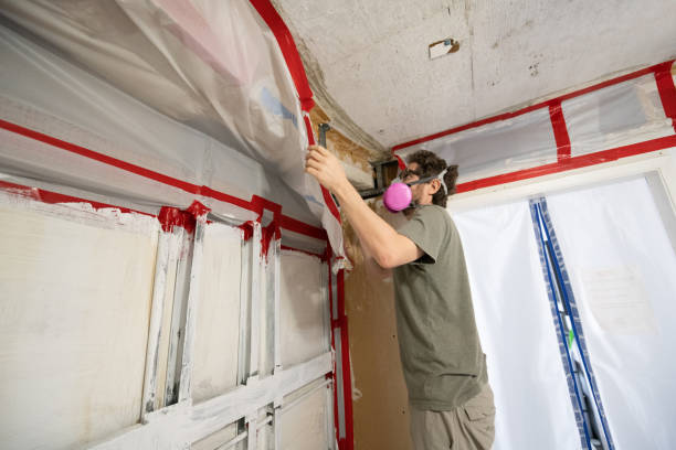 Mold Documentation for Insurance Claims in Lawai, HI