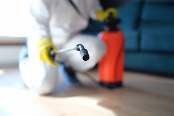 Best Residential Mold Inspection & Testing  in Lawai, HI